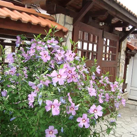 Two Bedroom In Mountain Aparthotel *